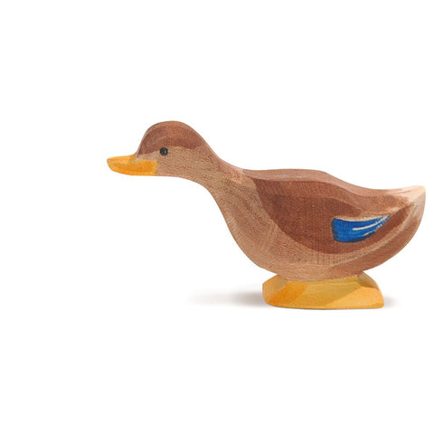 Ostheimer Duck With Long Neck