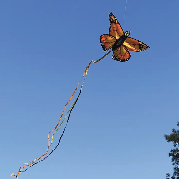 Monarch Butterfly Kite (in-store / local pick up only, WILL NOT SHIP)