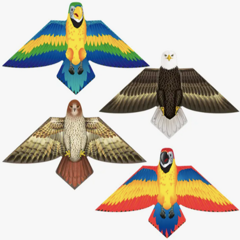 Birds of A Feather Poly Kites - (in-store / local pick up only, WILL NOT SHIP)