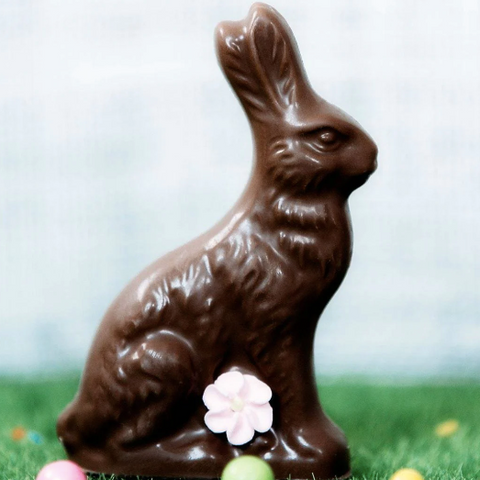 Chocolate Rabbit by Mr. B's Chocolates (local pick up only)