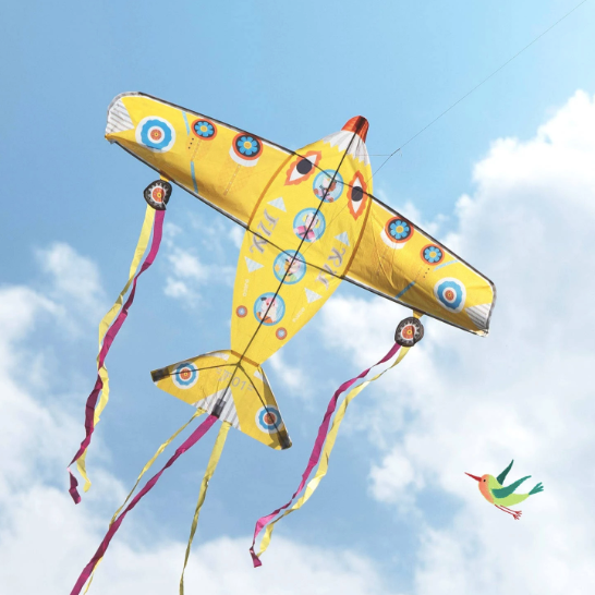 Maxi Plane Kite by Djeco - (in-store / local pick up only, WILL NOT SHIP)