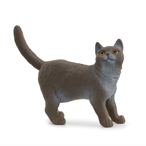 British Shorthair Cat by Schleich