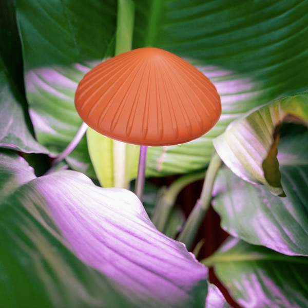 Mushroom Grow Light