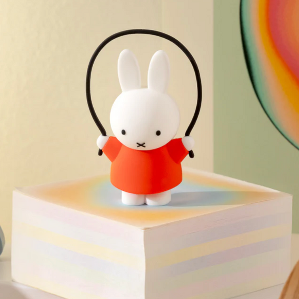 Smoko Miffy Doing Things Blind Box