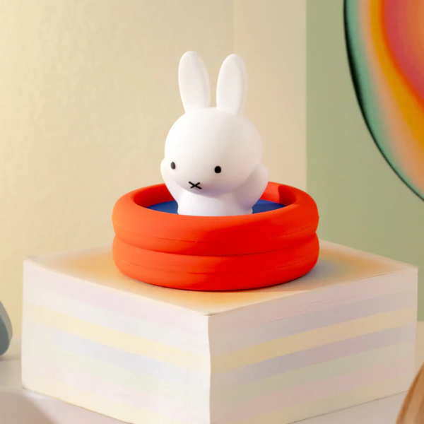 Smoko Miffy Doing Things Blind Box
