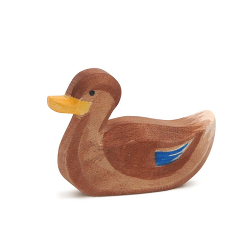 Ostheimer Duck Swimming