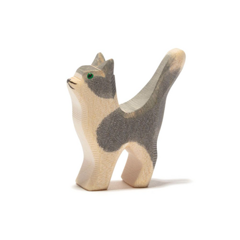 Ostheimer Gray & White Cat head up