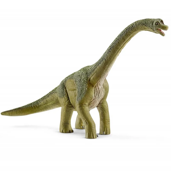 Brachiosaurus by Schleich