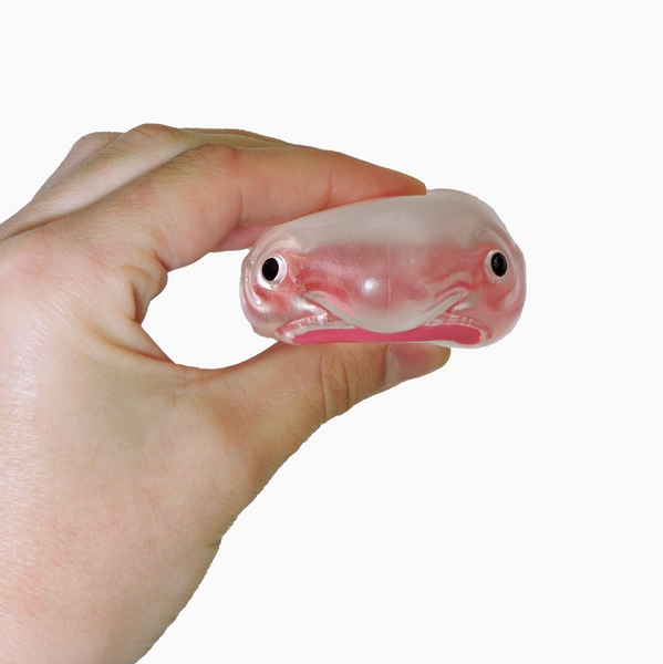 Itty Bitty Squidgy Oddity - Blob Fish