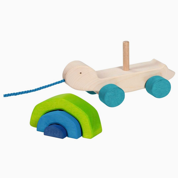Pull-Along Animal - Tortoise by Goki
