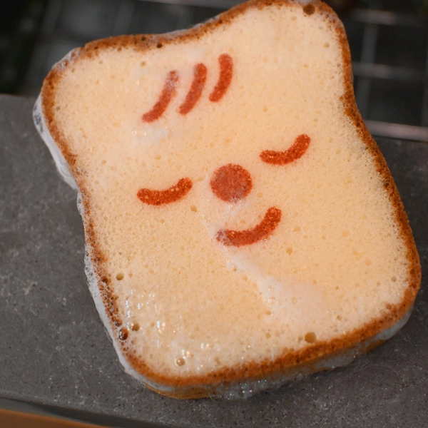 "Poundcake/ Ponqué" Cleaning Sponge (2 types)