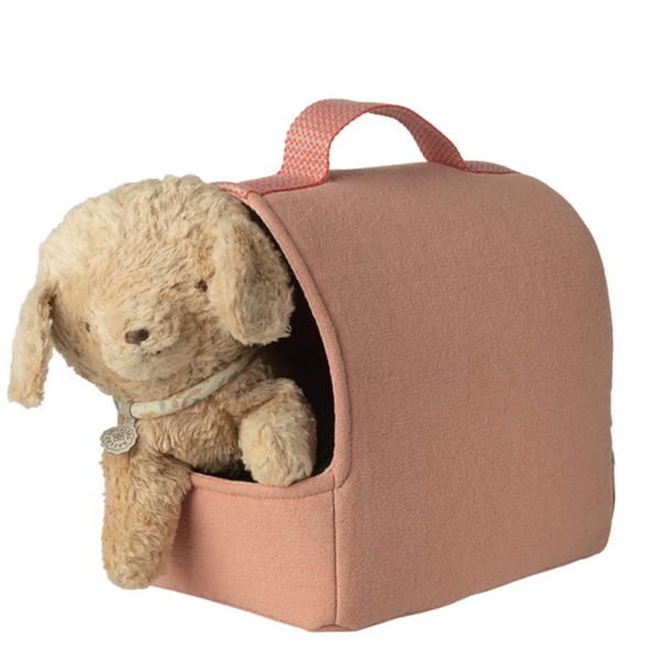 Pet Carrier in Coral