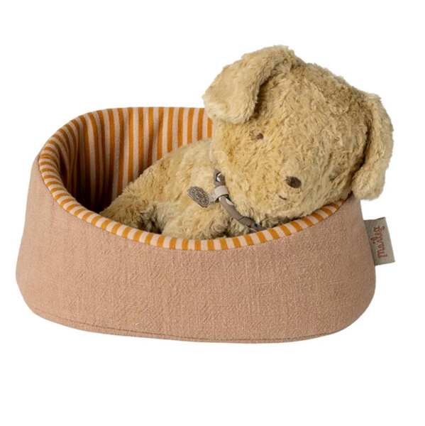 Pet Basket in Powder