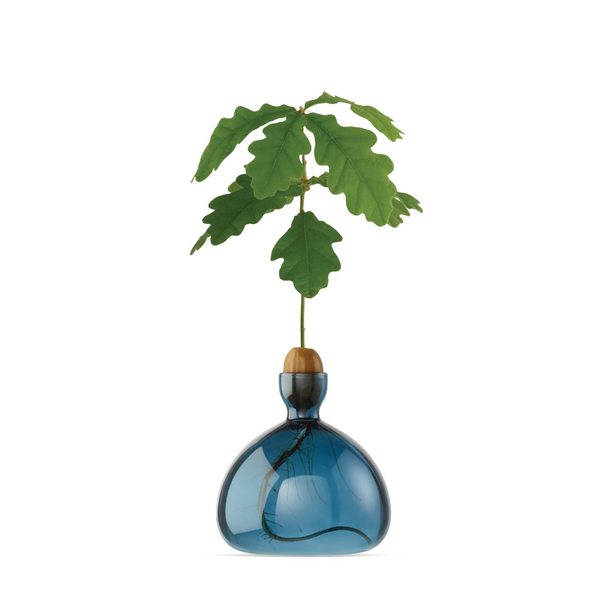 Acorn Vase by Ilex Studio
