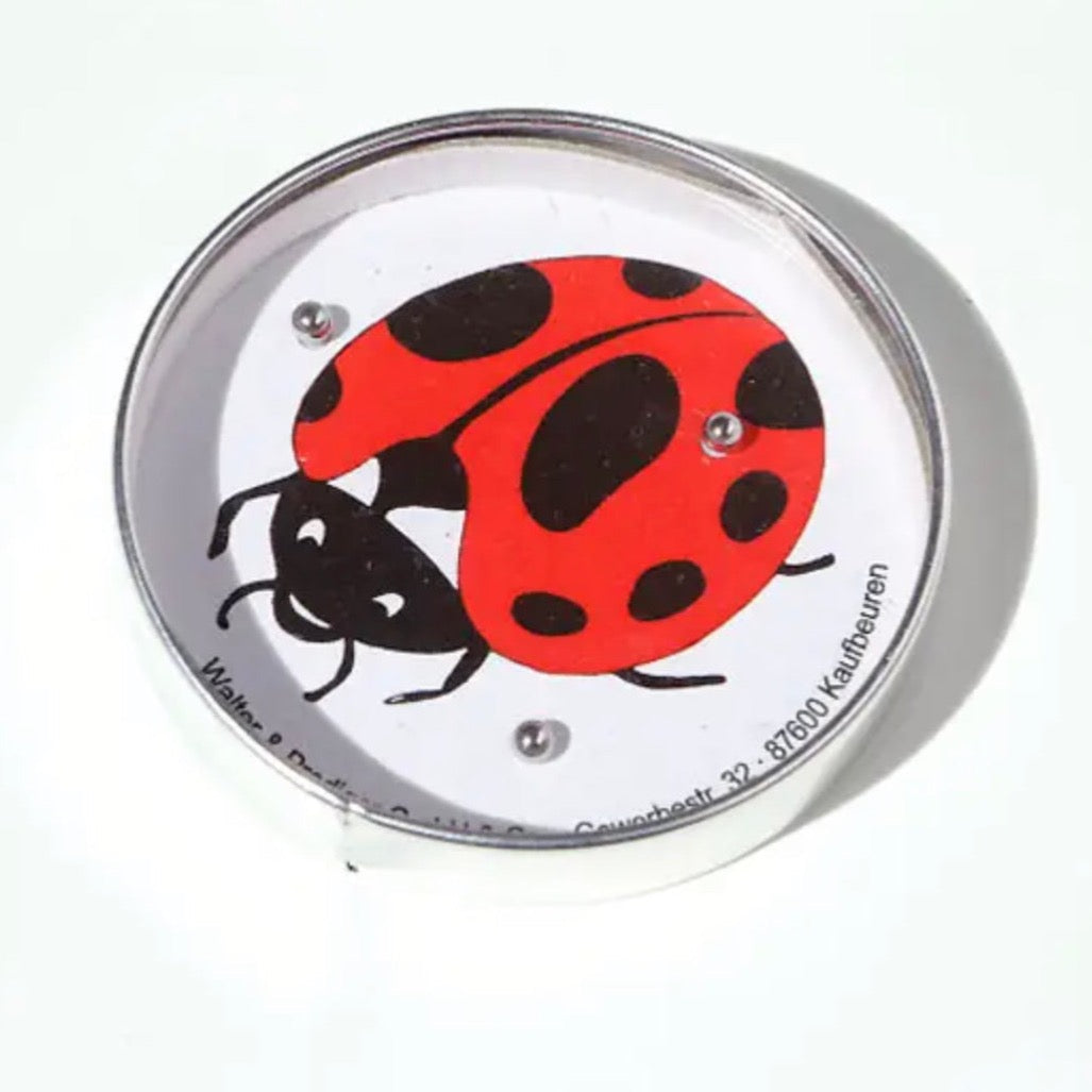 Ladybird Puzzle Game as