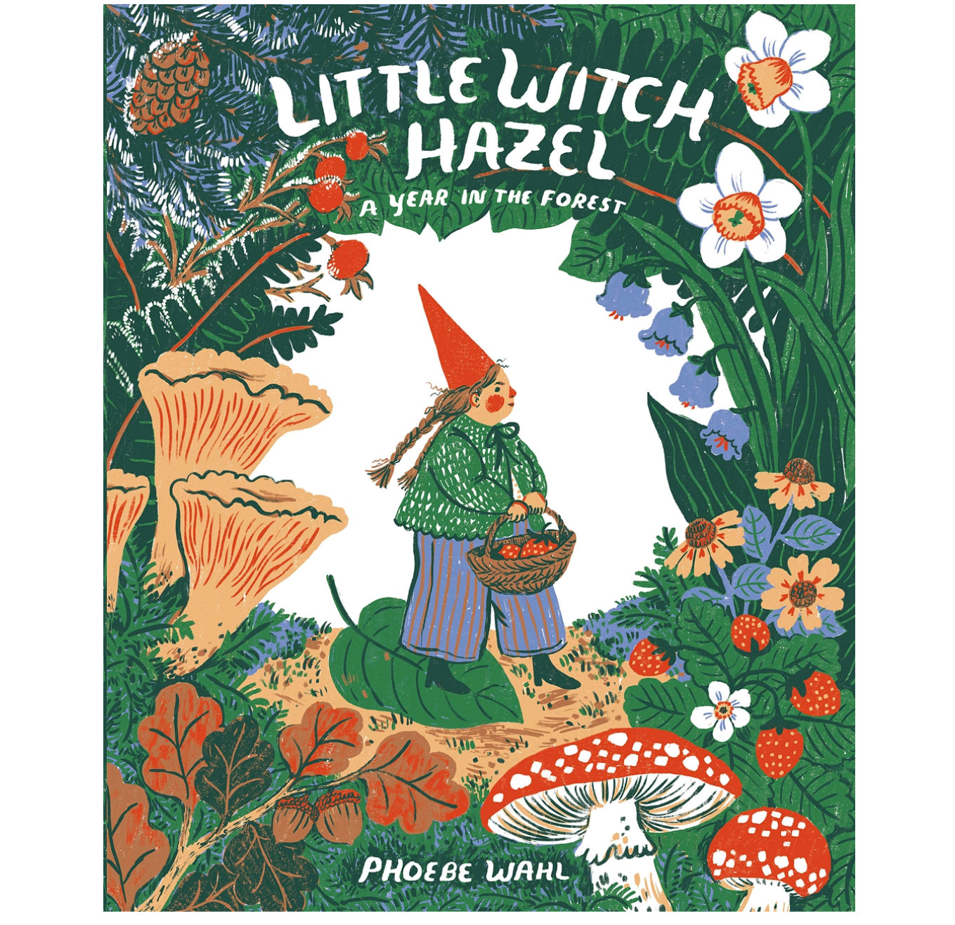 Little Witch Hazel