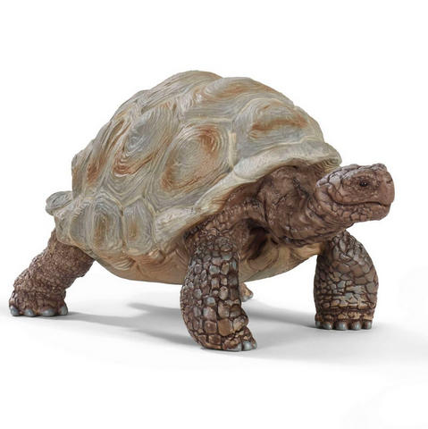Giant Tortoise by Schleich