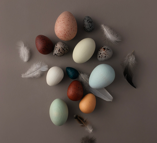 A Dozen Bird Eggs by Moon Picnic x Erzi