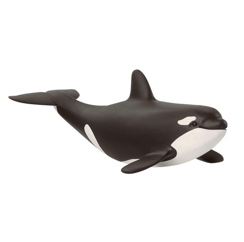Baby Orca by Schleich