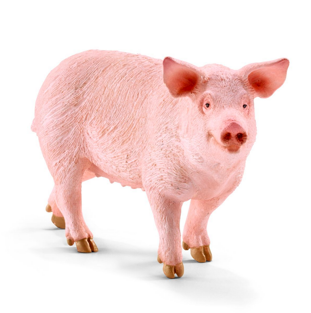 Pig by Schleich