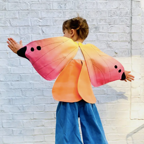 Butterfly Fairy Wings by Jack Be Nimble