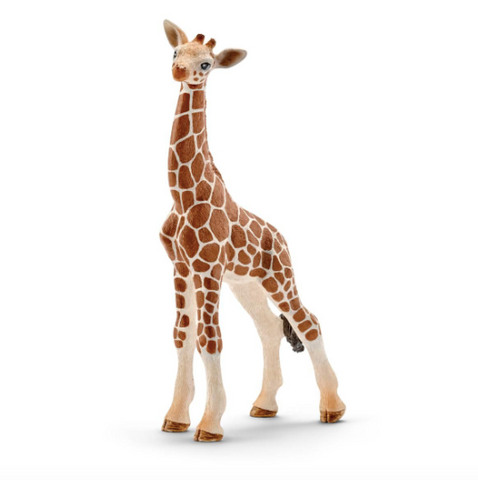 Giraffe Calf by Schleich
