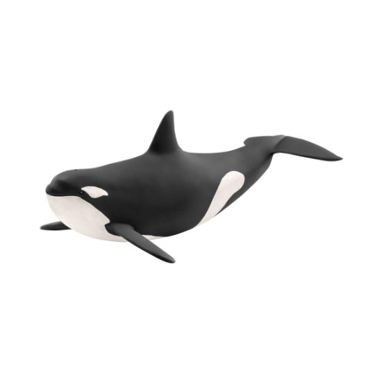 Orca by Schleich